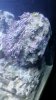 20150220_211536.jpg