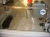 DSC00441.JPG