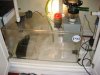DSC00442.JPG