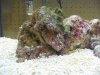 IMG_2730_1.jpg