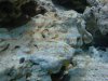 DSC00267.jpg