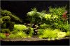 aquarama_planted_tank_2.jpg