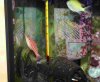 IMG_0025.jpg
