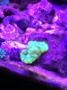 IMG_1094.JPG