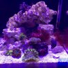 Full tank shot Iphone.jpg