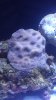 20150628_113304.jpg