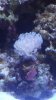 20150628_113314.jpg