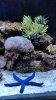 20150718_134615.jpeg