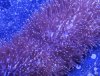 _DSC0592.JPG