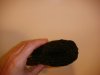 DSC00555.JPG