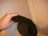 DSC00556.JPG
