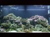 DSCF5589.JPG