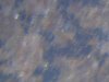 DSCN0354.JPG
