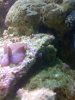 IMG_0049.jpg