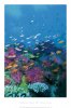 78316~Underwater-Village-Posters.jpg