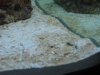 IMG_0447.jpg