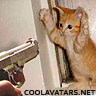 pisces3kitty