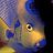 Fishman