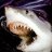 sharks