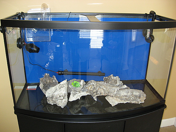 photo base rock placement