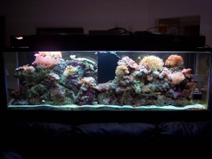 360 degree 125 gal