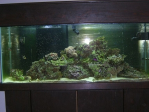 fullview