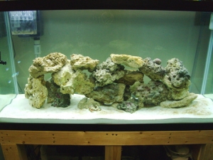 New 90g Reef