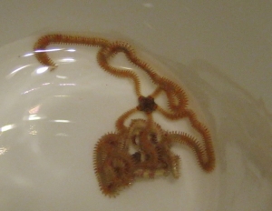 Brittle Star