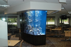 1200 gallon custom reef