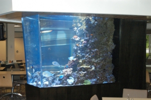 1200 gallon custom reef - side profile