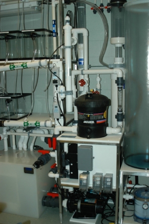 Filt skid