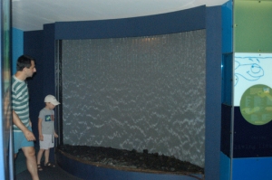 New England Aquarium water wall