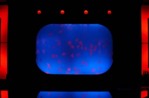 260 gallon, 10' x 6' jelly kreisel