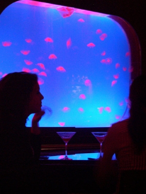 260 gallon, 10' x 6' jelly kreisel