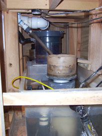 Side view of area below the tank consisting of A Euro-Reef skimmer in each sump.