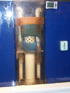 3" dia. Center Overflow leading to trickle filter. Two 1.5" dia. pvc returns, one from each sump. Sponge media is more for noise control than to filter. The Two little black strainers at the bottom lead to a canister filter just beneath the tank sitting o