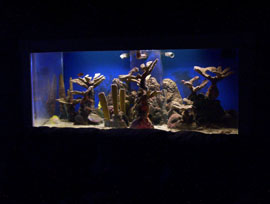 300 gal tank 023