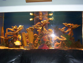 300 gal tank 022