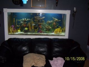 TANK 3