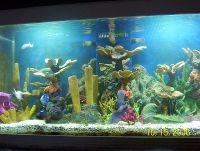 FRONT VIEW OD 300 gal TANK
