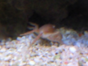 Photo0290