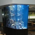 1200 gallon custom reef