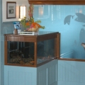 Lobster Display
