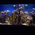 300 gal tank 023