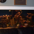 Sorry, My picture taking abilities are not very good.