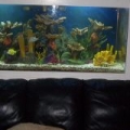 TANK 3