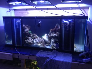 IMG_5087.JPG