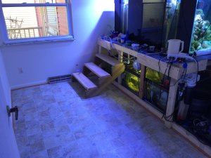 IMG_5126.JPG