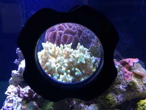 IMG_4953.JPG