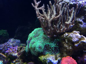 IMG_4954.JPG